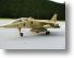 Jaguar T.2 (2).jpg
